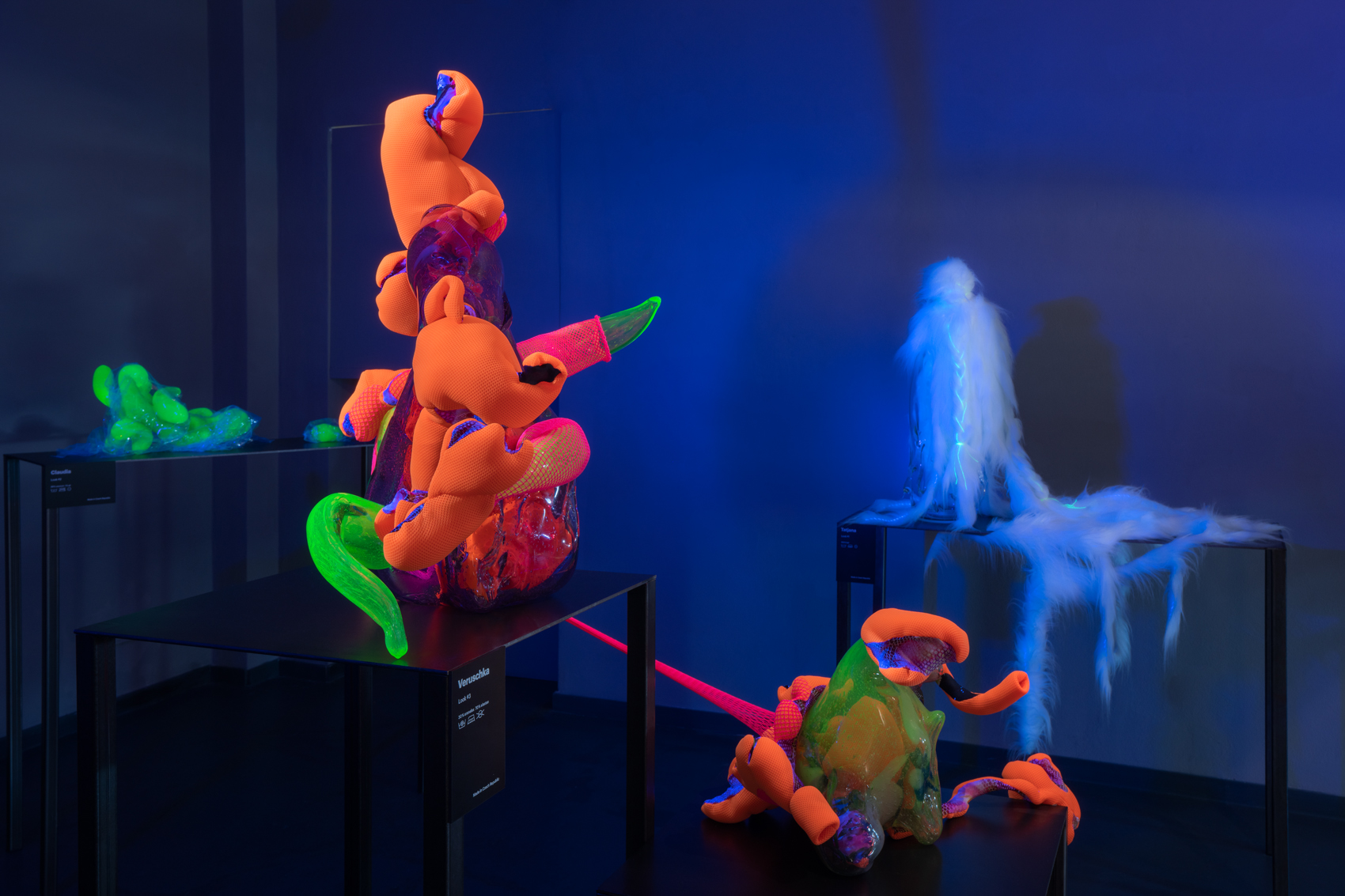 VERUSCHKA (TWO COLLECTIBLE UNIQUES) - Image 3